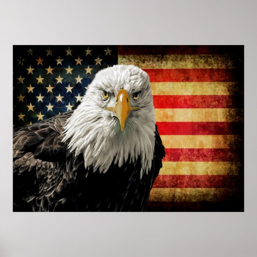 Extra Lg. Krachtig Amerikaans Poster van Eagle Fla (Voorkant)