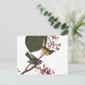 Extra Warbler van Audubon Briefkaart (Staand voorkant)
