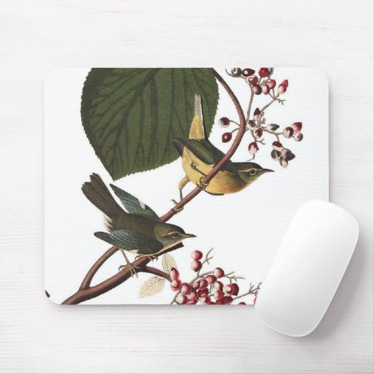 Extra Warbler van Audubon Muismat (Met muis)