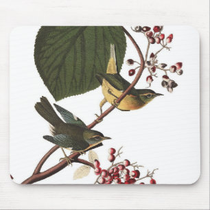 Extra Warbler van Audubon Muismat