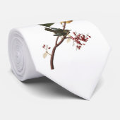 Extra Warbler van Audubon Stropdas (Opgerold)