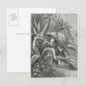 Extractiemulkool Briefkaart (Voorkant / Achterkant)