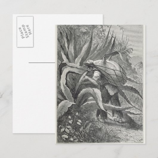 Extractiemulkool Briefkaart (Voorkant / Achterkant)