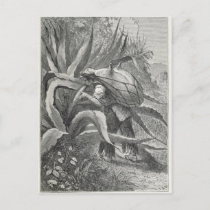 Extractiemulkool Briefkaart