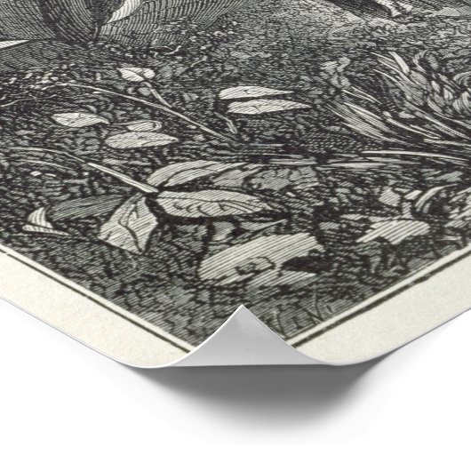 Extractiemulkool Poster (Hoek)