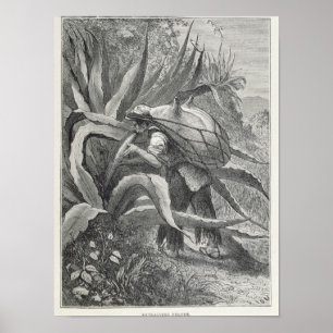 Extractiemulkool Poster