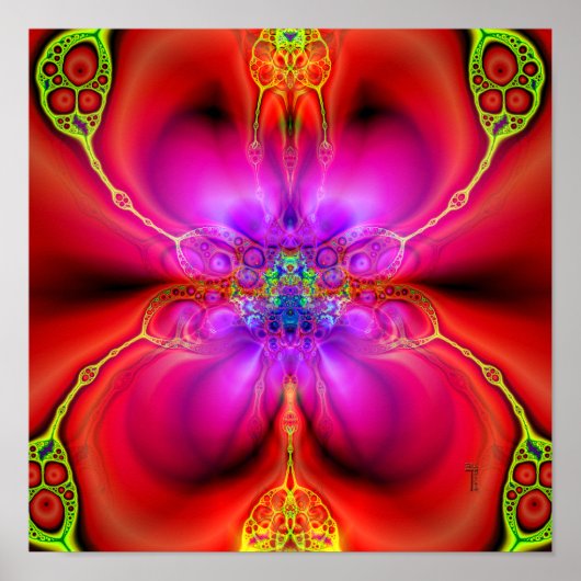 Extraditioneel overgangsversie 1 (12 door 12) poster (Voorkant)