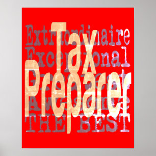 Extraordinaire belastingvoorbereider poster