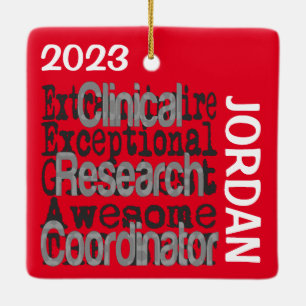 Extraordinaire coördinator klinisch onderzoek keramisch ornament