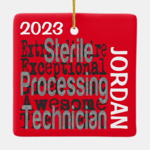 Extraordinaire technicus voor Steriele Verwerking Keramisch Ornament