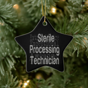Extraordinaire technicus voor Steriele Verwerking Keramisch Ornament