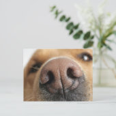 Extreem dichtbij een hondenneus. briefkaart (Staand voorkant)
