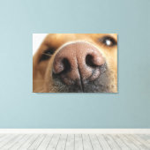 Extreem dichtbij een hondenneus. canvas afdruk (Insitu (Houten vloer))