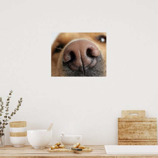 Extreem dichtbij een hondenneus. poster (Keuken)