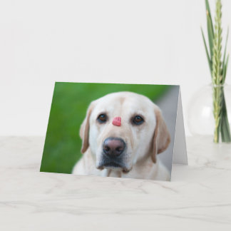 Extreem geduld feestdagen kaart