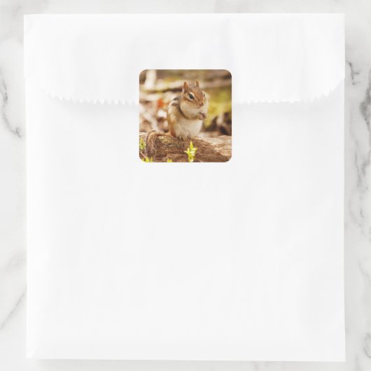 Extreem Schattigee Chipmunk Vierkante Sticker (Tas)