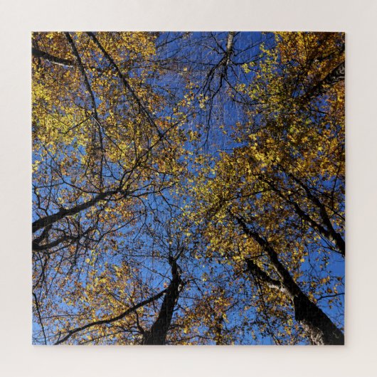 Extreem uitdagende Natuur puzzels voor volwassenen (Verticaal)