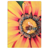 Extreme close-up van een bij die polen verzamelt klembord (Achterkant)