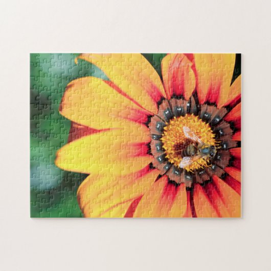 Extreme close-up van een bij die polen verzamelt legpuzzel (Horizontaal)