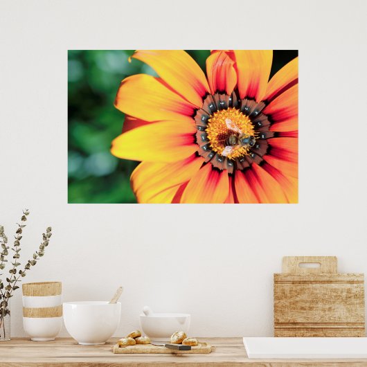 Extreme close-up van een bij die polen verzamelt poster (Keuken)