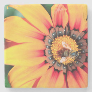 Extreme close-up van een bij die polen verzamelt stenen onderzetter