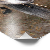 Extreme close-up van een Billy Goat Eating Hay Foto Afdruk (Hoek)