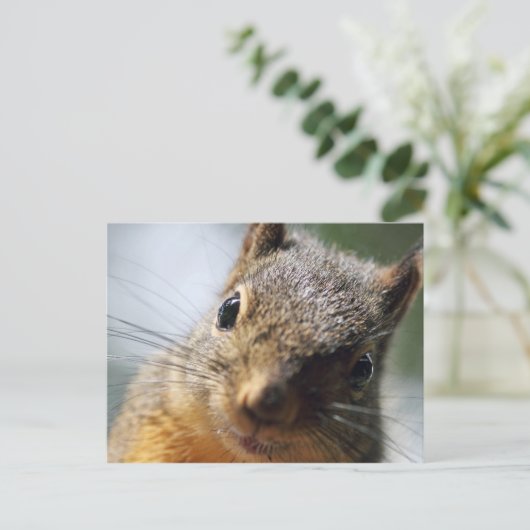 Extreme Closeup Squirrel Afbeelding Briefkaart (Staand voorkant)