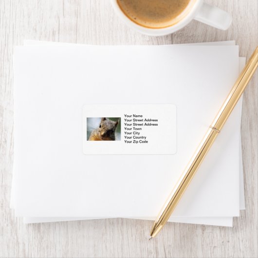 Extreme Closeup Squirrel Afbeelding Etiket (Insitu)