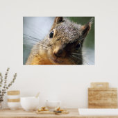 Extreme Closeup Squirrel Afbeelding Poster (Keuken)