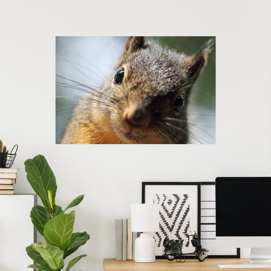 Extreme Closeup Squirrel Afbeelding Poster (Thuiskantoor)