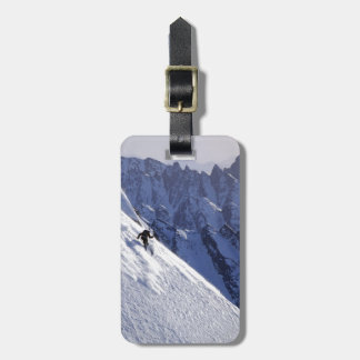 Extreme Free Skiing in Alaska Bagagelabel
