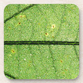 Extreme Green Leaf Bier Onderzetter (Voorkant)