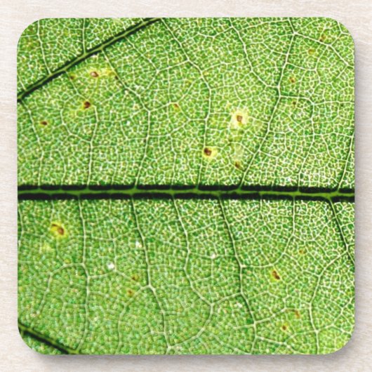 Extreme Green Leaf Bier Onderzetter (Voorkant)