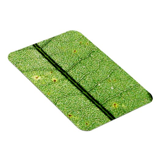 Extreme Green Leaf Magneet (Rechterzijde)
