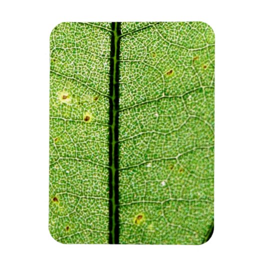 Extreme Green Leaf Magneet (Verticaal)