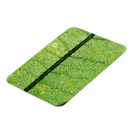 Extreme Green Leaf Magneet (Linkerzijde)
