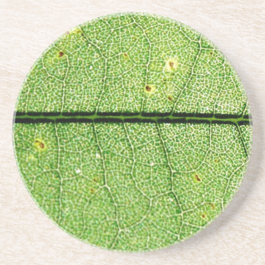 Extreme Green Leaf Zandsteen Onderzetter (Voorkant)
