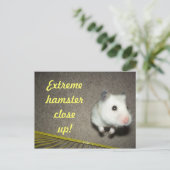 Extreme Hamster sluit Briefkaart af (Staand voorkant)