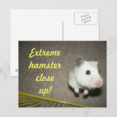 Extreme Hamster sluit Briefkaart af (Voorkant / Achterkant)