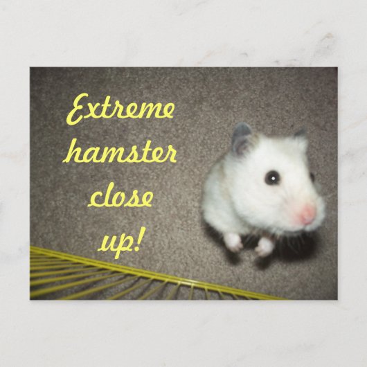 Extreme Hamster sluit Briefkaart af (Voorkant)