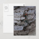 Extreme klimmer briefkaart (Voorkant / Achterkant)