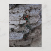 Extreme klimmer briefkaart (Voorkant)