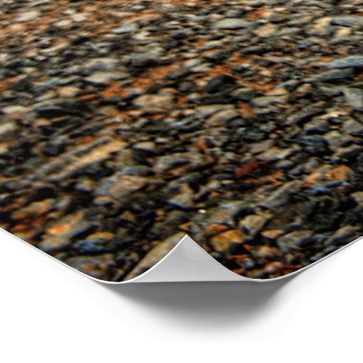 Extreme ratenstaaf poster (Hoek)