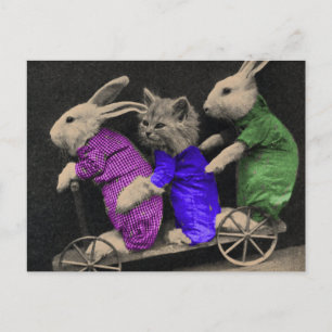 Extreme sport briefkaart