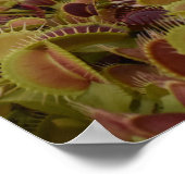 Extreme sport for flies. poster (Hoek)