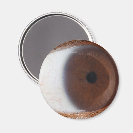 Eye Ball Magneet (Voorkant / Achterkant)