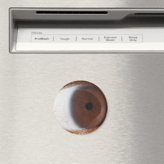 Eye Ball Magneet (Insitu (Vaatwasser))