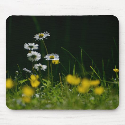 Eye Catching Daisy Flower Mouse Pad for Office Com Muismat (Voorkant)