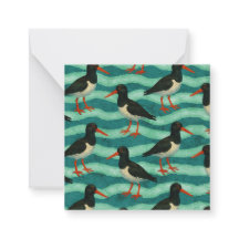 Eye Catching Oyster Catcher Post-card Style