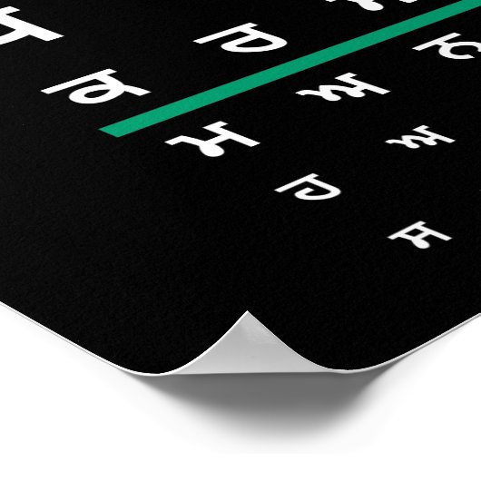 Eye Chart Punjabi Poster (Hoek)